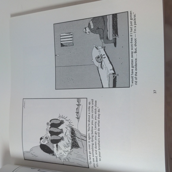 A Far Side Collection - The Curse of Madame "C" 1994 - Picture 5 of 7